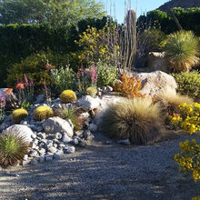 Henderson landscape ideas