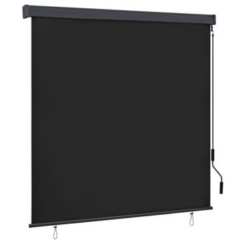 vidaXL Roller Blind Window Shade with Hand Crank Blackout Blind Anthracite