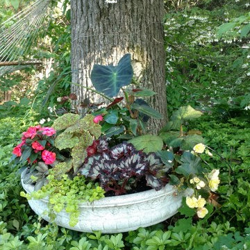 Fabulous Container Gardens