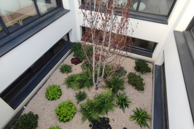 Idées déco pour une terrasse avec des plantes en pots latérale contemporaine de taille moyenne avec du gravier et une pergola.
