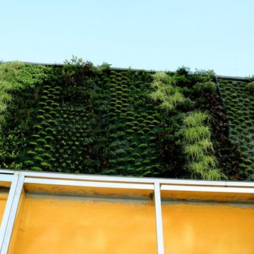 Jardín vertical en ático privado de Murcia