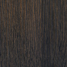 Our Colors or Styles for the Season