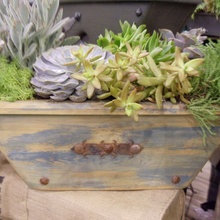 Horticultural