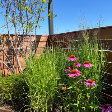 Borough Park Modern Rooftop