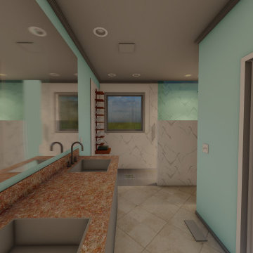 Handicap Bathroom Reno