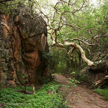Pamushana, Singita Lodge