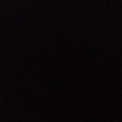 Parastoo Asgari's photo