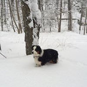 Melissa Ptaceks foto