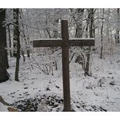Esther Petersheim's photo