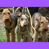 Sally Martin's photo
