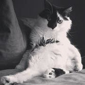 Isabel Fick's photo