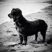 Vanessa Shaushkin's photo