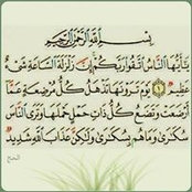 Rania Farid's photo
