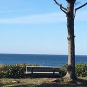 Jessica Beach's photo