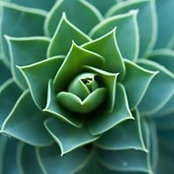 Ashli McGraw Ray's photo