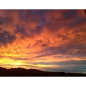 Aimee Pawlcyn's photo
