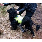 Photo de Stella Berland