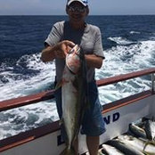 Gary Weber's photo