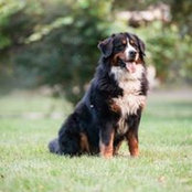 Mike Callahan's photo