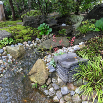 湧水から小川へ・・・水景の庭