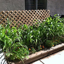 Landscaping project 1