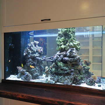 Fishtank Bar