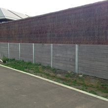 wall