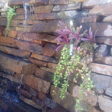 Piedmont Modernist Garden