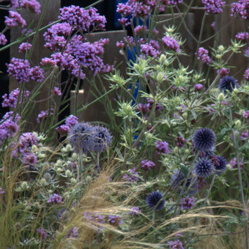 Showgarten