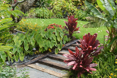 Photo of a garden in Hawaii.
