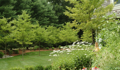 Donnez du charme à votre jardin en quelques semaines