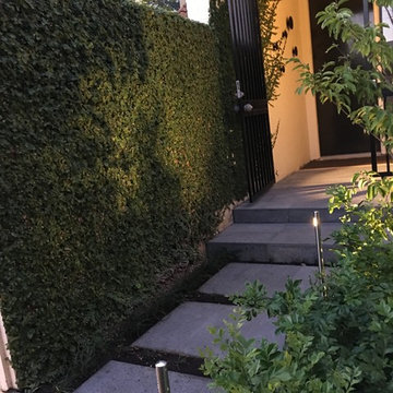 North Adelaide - Courtyard