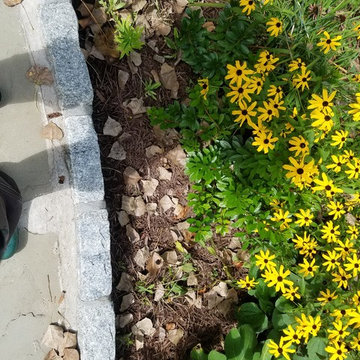 Wildlife Pocket Garden in Hudson Valley rivertown