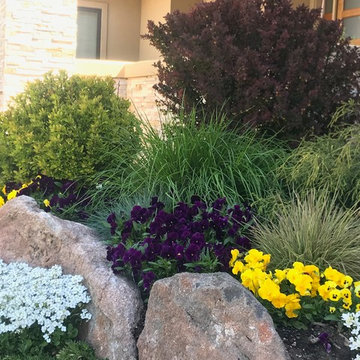Best of Spring Color