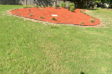 New Planting with Mulch