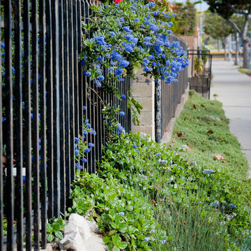 Blooming City Sidewalk