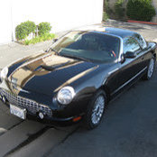 Peter Cullen's photo
