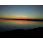 Liz Criss's photo