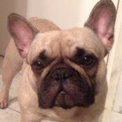 Ruben Lemmens's photo