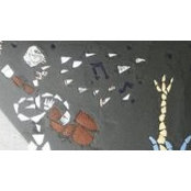 Carlos Bassetti's photo