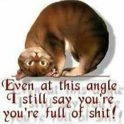 Terese Farkas's photo