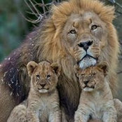 Ethel Graham's photo