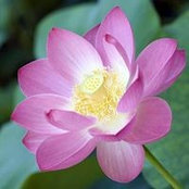 Foto von Hui Xuan