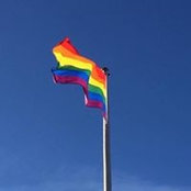 Ann Fuller's photo