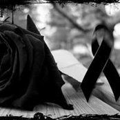 Rosa Baez's photo