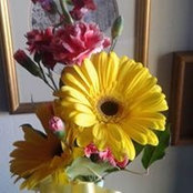 Eileen Jessen's photo
