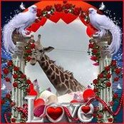 Britta Jensen's photo