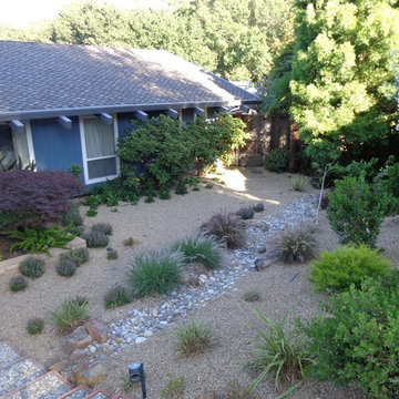 Lawn Replacement