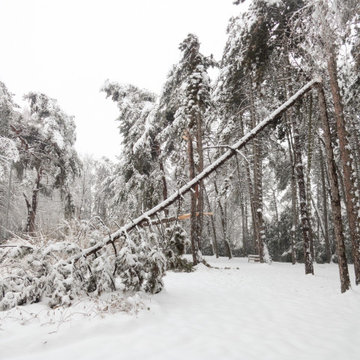 Year Round Property Maintenance
