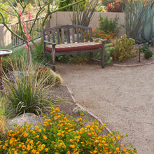 AZ Backyard